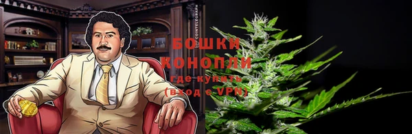 мескалин Ладушкин