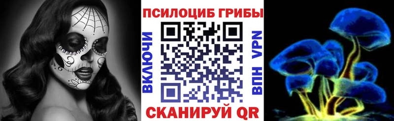 дарк нет Telegram цена Севск Псилоцибиновые грибы MAGIC MUSHROOMS